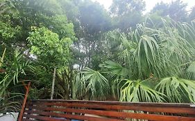 Tropical 4 Bedroom 3 Bathroom 8 To 10 Sleeper Holiday Getaway